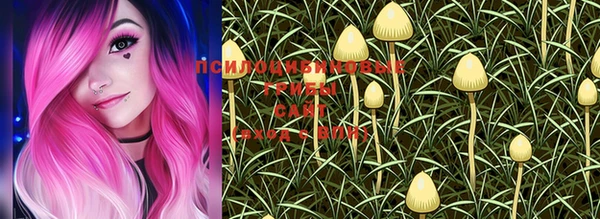 трава Пролетарск