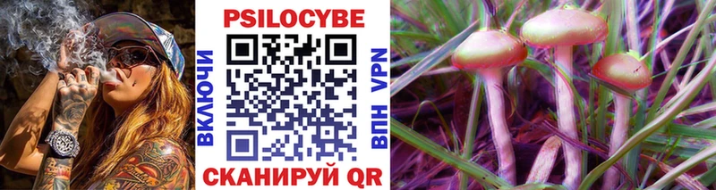 Псилоцибиновые грибы GOLDEN TEACHER  Купить закладки  Черкесск 